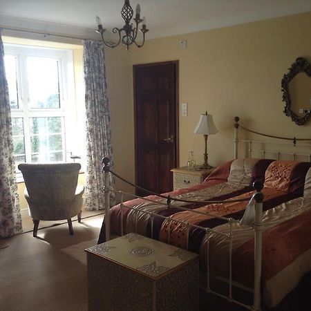 Frondderw Country House Bed & Breakfast Bala Ngoại thất bức ảnh