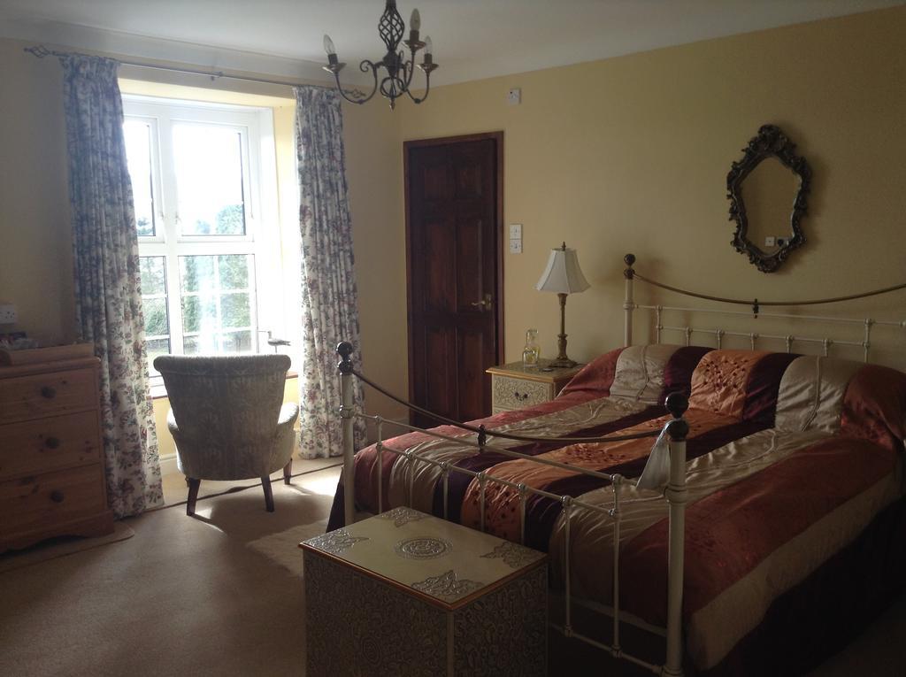 Frondderw Country House Bed & Breakfast Bala Ngoại thất bức ảnh